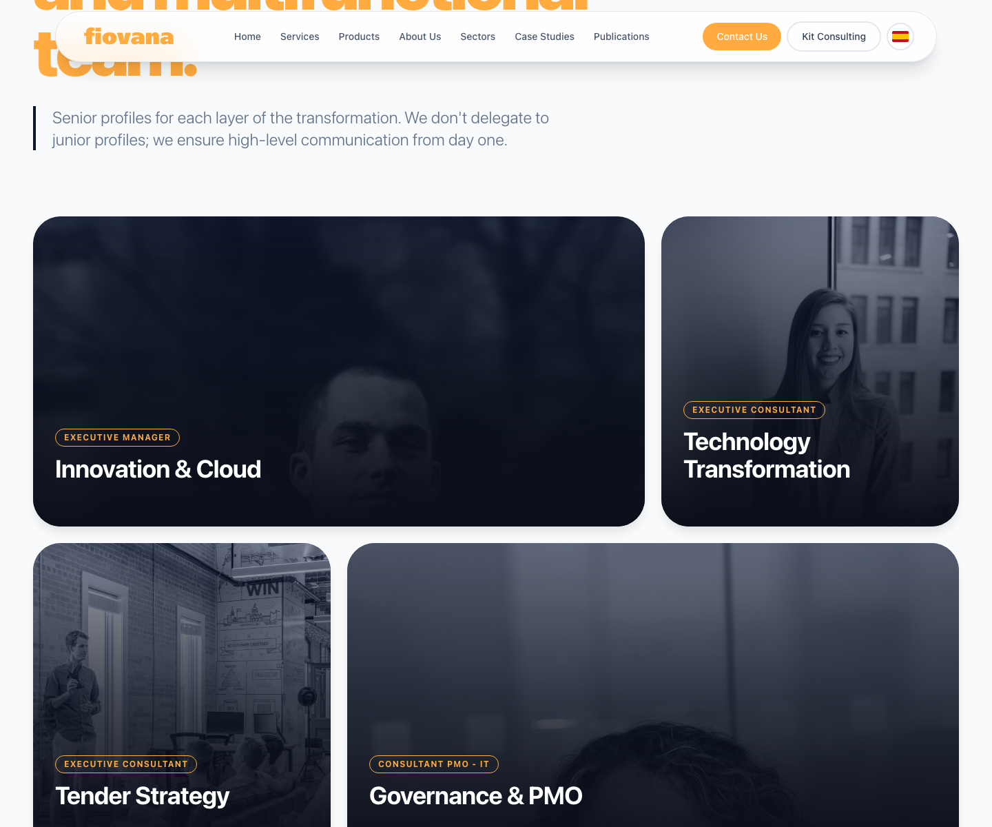 Fiovana team — four senior consultants specializing in cloud, transformation, tenders, and governance